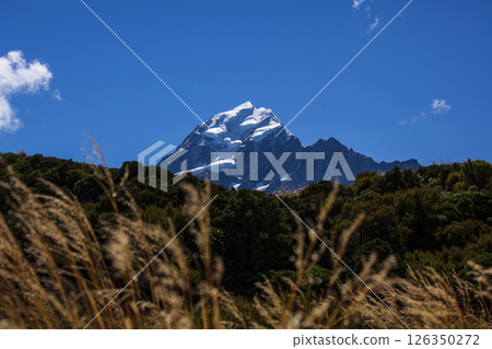 紐西蘭國家公園的庫克山 126350272