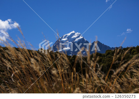 紐西蘭國家公園的庫克山 126350273