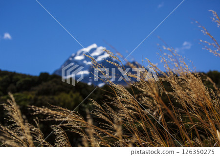 紐西蘭國家公園的庫克山 紐西蘭國家公園的庫克山 126350275