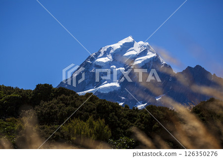 紐西蘭國家公園的庫克山 126350276