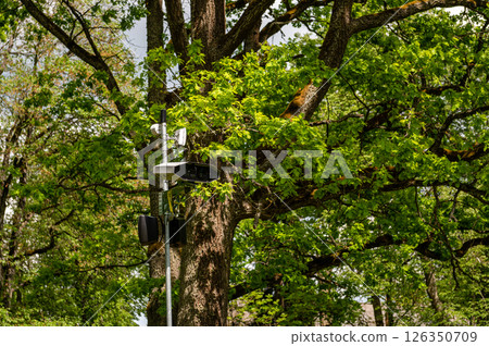 Monitoring equipment under a leafy tree in a public park during springtime Monitoring equipment under a leafy tree in a public park during springtime 126350709