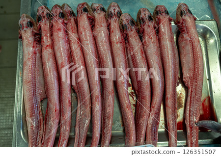 Long fish cleaned and arranged on a metal tray at a fish market for sale. Long fish cleaned and arranged on a metal tray at a fish market for sale. 126351507