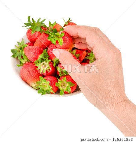 from a white plate a woman's hand takes a large ripe strawberry isolated on a white background from a white plate a woman's hand takes a large ripe strawberry isolated on a white background 126351858