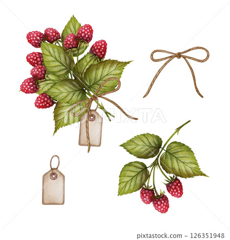Raspberry bouquet watercolor set with tag 126351948