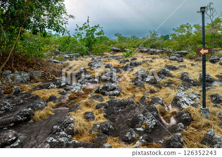 Rock terrace at Phu Hin Rong Kla National Park 126352243