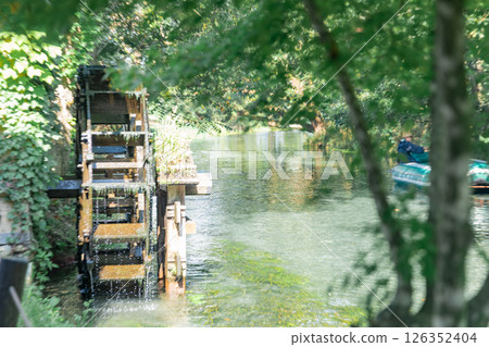 <安曇野>大王山葵農場的水車和美麗溪流的壯麗景色 <安曇野>大王山葵農場的水車和美麗溪流的壯麗景色 126352404