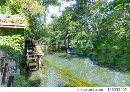 <Azumino> Spectacular view of the waterwheel and beautiful stream at Daio Wasabi Farm <Azumino> Spectacular view of the waterwheel and beautiful stream at Daio Wasabi Farm 126352405