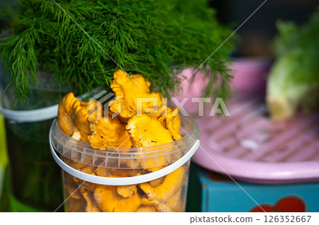 A basket filled with vibrant chanterelle mushrooms and fresh green dill. A basket filled with vibrant chanterelle mushrooms and fresh green dill. 126352667