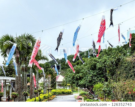Carp streamers flying in the sky with tropical palm trees in the background 126352743