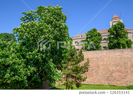 Remains of Historic Belgrade Fortress in Kalemegdan park in Belgrade, Serbia Remains of Historic Belgrade Fortress in Kalemegdan park in Belgrade, Serbia 126353141