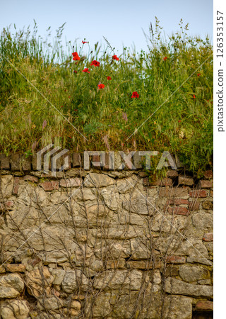 Remains of Historic Belgrade Fortress in Kalemegdan park in Belgrade, Serbia 126353157