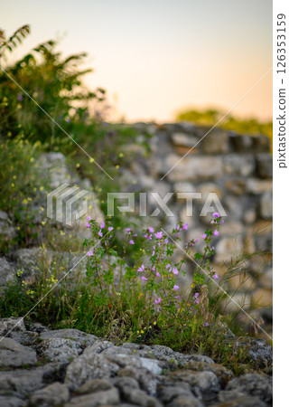 Remains of Historic Belgrade Fortress in Kalemegdan park in Belgrade, Serbia 126353159