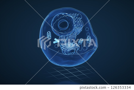 homeostasis, organelle, nucleolus 126353334