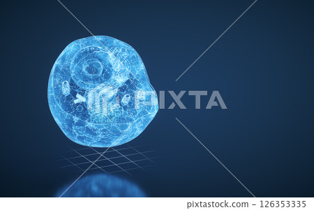 homeostasis, organelle, nucleolus 126353335