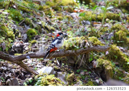 Akagera Akagera 126353523