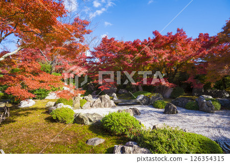 京都幕府塚青龍殿枯山水庭園及秋葉 126354315