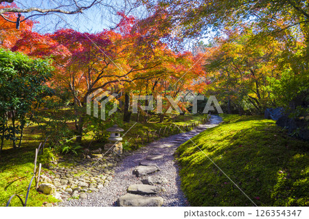 Autumn leaves of Kyoto Shogun Tsuka Seiryudon 126354347