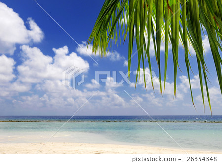 Photos of Maldives Beach Photos of Maldives Beach 126354348
