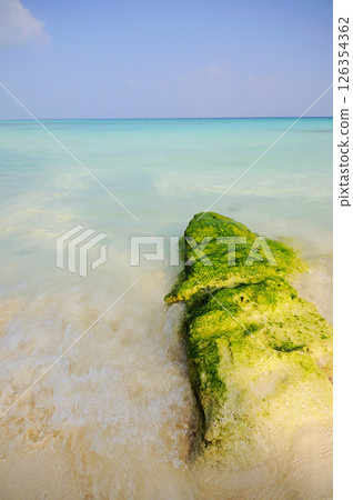 Photos of Maldives Beach 126354362