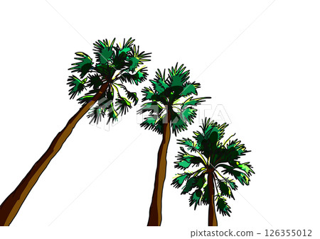 A view of three palm trees 126355012