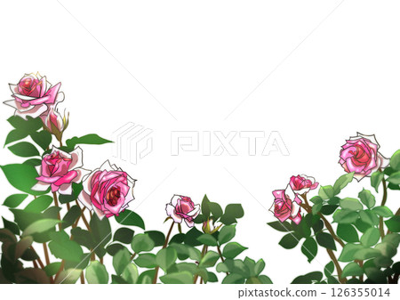 Rose frame, light pink 126355014