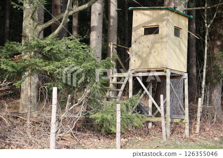 A small wooden structure with a green roof sits in a forest A small wooden structure with a green roof sits in a forest 126355046