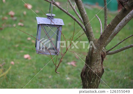 A lantern hanging from a tree branch 126355049