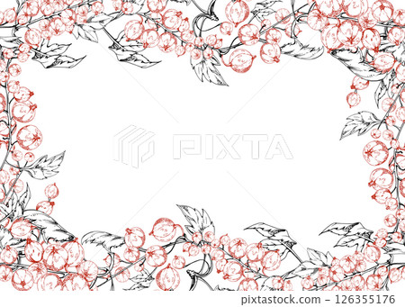 Currant gooseberry, green leaves on branch, hand drawn in vector ink, ripe garden berry juneberry casseille jostaberry cluster group. Isolated border frame. Vegan grocery shop recipe cards cookbook 126355176