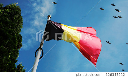 National Belgium Flag Waving Against Sky Background 126355212