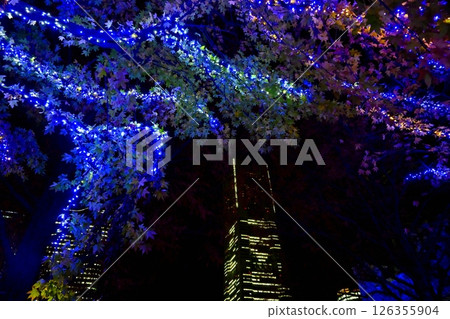 Illuminations at Grand Mall Park in the Minato Mirai area of Yokohama 126355904