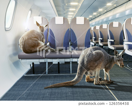 Kangaroo in airplane cabin 126356438