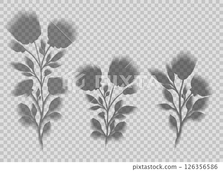 Vector set of transparent blurred shadow flowers. Collection of flower silhouettes 126356586