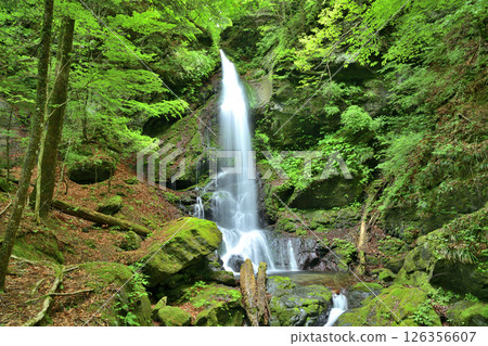Tsuruharu Falls, flowing through the Shiobara Valley, Nasushiobara City, Tochigi Prefecture 126356607