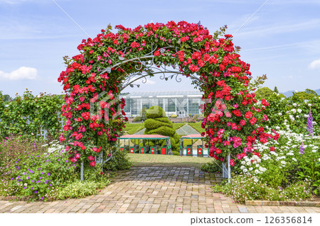 Hamamatsu Flower Park (May) Rose arch in the welcome garden Hamamatsu Flower Park (May) Rose arch in the welcome garden 126356814