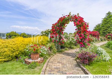 濱松花卉公園（5月）迎賓花園的玫瑰拱門 126356843