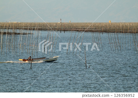 Omuta City Ariake Sea Nori field, Omuta City Ariake Sea Nori field, 126356952