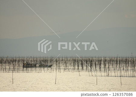 大牟田市有明海紫菜場, 大牟田市有明海紫菜場, 126357086