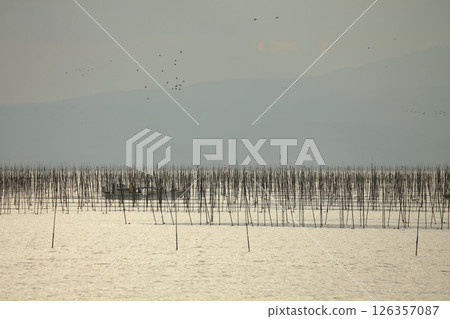大牟田市有明海紫菜場, 大牟田市有明海紫菜場, 126357087