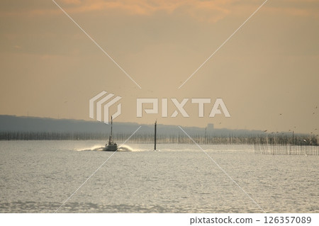 Omuta City Ariake Sea Nori field, Omuta City Ariake Sea Nori field, 126357089