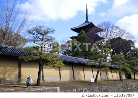 Kyoto Prefecture, Toji Temple, Five-Story Pagoda (National Treasure), Kujo-cho, Minami-ku, Kyoto City, February 2022 126357094
