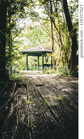 A cool, shady place A cool, shady place 126357823