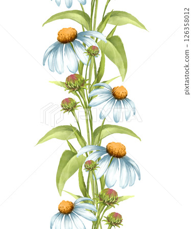 White Daisies Vertical Seamless Border Pattern 126358012