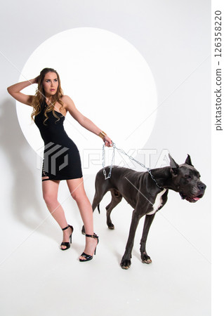 Portrait of beautiful sexy model in the black dress with german dogge on a white background 126358220