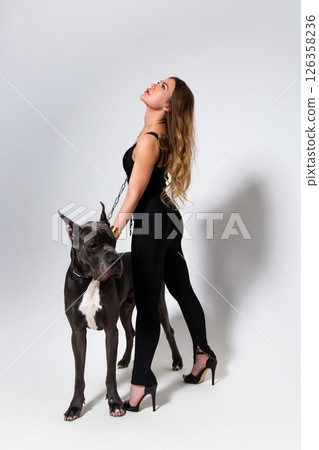Portrait of beautiful slender model dressed in the black suit with german dogge on a white background 126358236