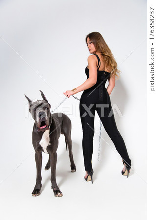 Portrait of beautiful slender model dressed in the black suit with german dogge on a white background 126358237