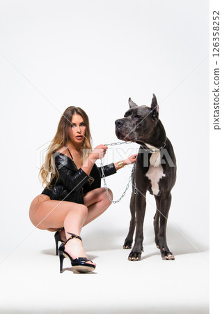 Portrait of beautiful seductive model dressed in the black lingerie and jacket with german dogge on a white background Portrait of beautiful seductive model dressed in the black lingerie and jacket with german dogge on a white background 126358252