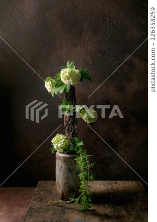 Creative floral composition ikebana white hydrangea flowers on tree bark piece in ceramic vase dark brown textured background moody artistic still life Creative floral composition ikebana white hydrangea flowers on tree bark piece in ceramic vase dark brown textured background moody artistic still life 126358259