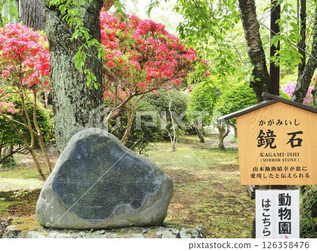 Nagano Prefecture, Fresh green nostalgia garden, Kagamiishi, May Nagano Prefecture, Fresh green nostalgia garden, Kagamiishi, May 126358476