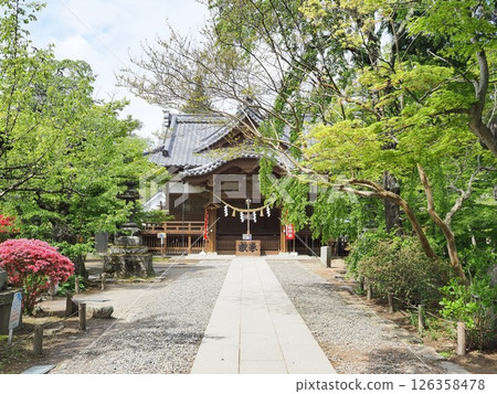 長野縣,新綠的懷舊神社,五月 長野縣,新綠的懷舊神社,五月 126358478