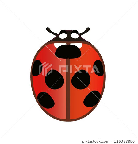 瓢蟲插圖 126358896